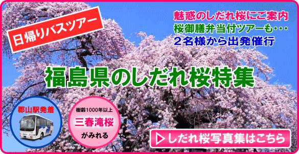 福島県のしだれ桜特集！　～　郡山駅発着！日帰りバスツアーです　～
